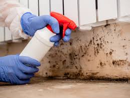 Best Industrial Mold Remediation  in Jasper, TX